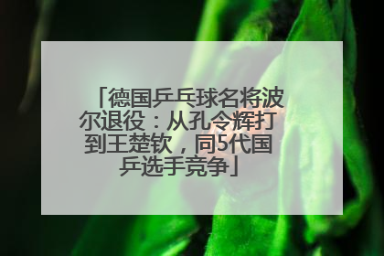 德国乒乓球名将波尔退役：从孔令辉打到王楚钦，同5代国乒选手竞争