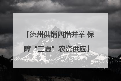 德州供销四措并举 保障“三夏”农资供应