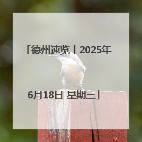 德州速览丨2025年6月18日 星期三