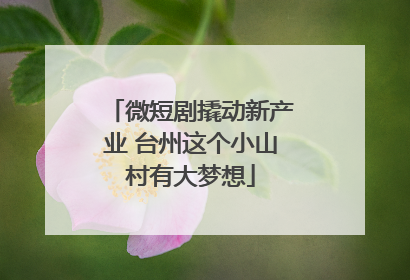 微短剧撬动新产业 台州这个小山村有大梦想