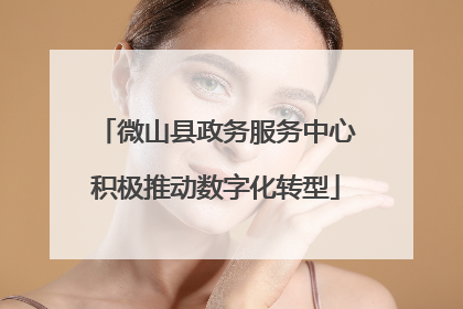 微山县政务服务中心积极推动数字化转型