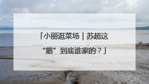 小丽逛菜场｜苏超这“鹅”到底谁家的？