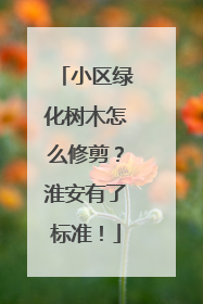 小区绿化树木怎么修剪？淮安有了标准！