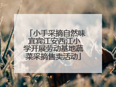 小手采摘自然味 宜宾江安西江小学开展劳动基地蔬菜采摘售卖活动