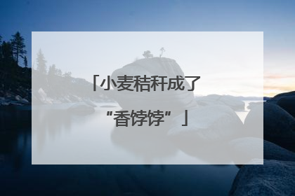小麦秸秆成了“香饽饽”