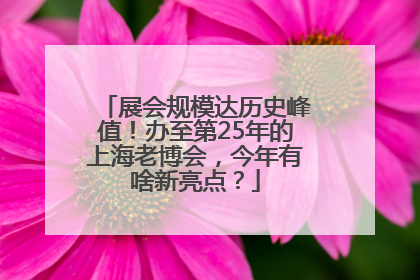 展会规模达历史峰值！办至第25年的上海老博会，今年有啥新亮点？