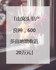 山窝头里产良种，600多亩地增收近20万元