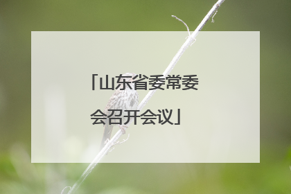 山东省委常委会召开会议