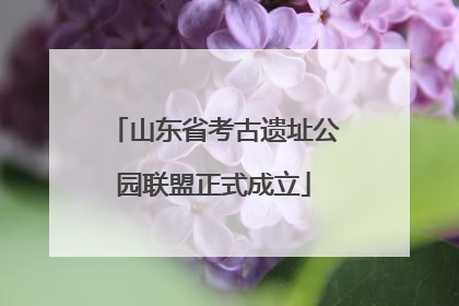 山东省考古遗址公园联盟正式成立