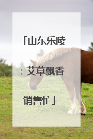 山东乐陵：艾草飘香销售忙