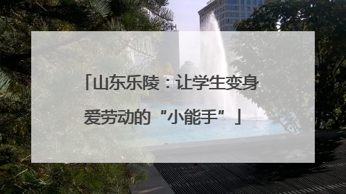 山东乐陵：让学生变身爱劳动的“小能手”