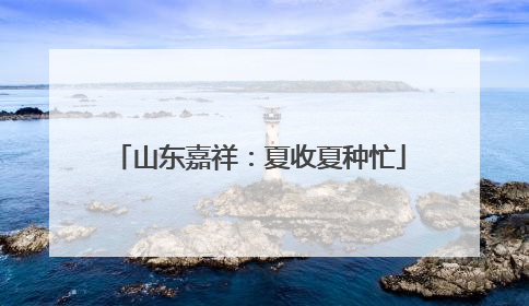 山东嘉祥：夏收夏种忙