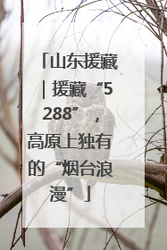 山东援藏｜援藏“5288”，高原上独有的“烟台浪漫”