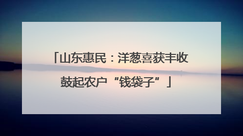 山东惠民：洋葱喜获丰收 鼓起农户“钱袋子”