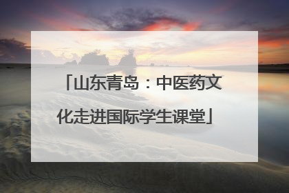 山东青岛：中医药文化走进国际学生课堂