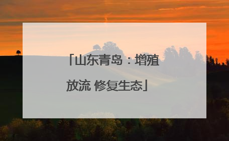 山东青岛：增殖放流 修复生态