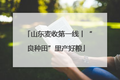 山东麦收第一线丨“良种田”里产好粮