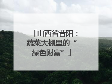 山西省昔阳：蔬菜大棚里的“绿色财富”