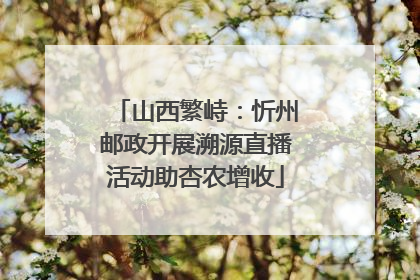 山西繁峙：忻州邮政开展溯源直播活动助杏农增收