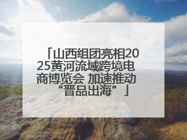山西组团亮相2025黄河流域跨境电商博览会 加速推动“晋品出海”