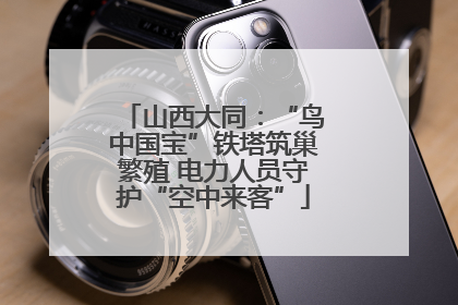 山西大同：“鸟中国宝”铁塔筑巢繁殖 电力人员守护“空中来客”