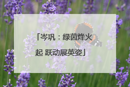 岑巩：绿茵烽火起 跃动展英姿