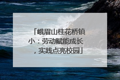 峨眉山桂花桥镇小：劳动赋能成长，实践点亮校园