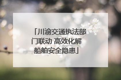 川渝交通执法部门联动 高效化解船舶安全隐患
