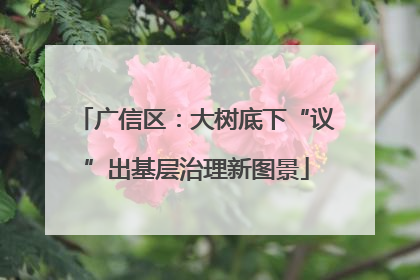 广信区：大树底下“议”出基层治理新图景
