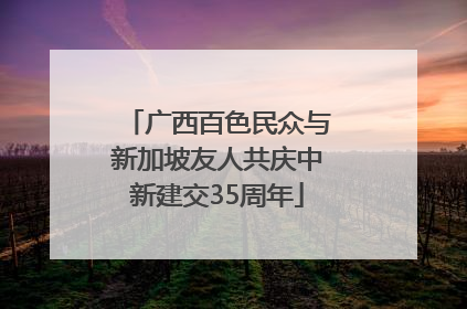 广西百色民众与新加坡友人共庆中新建交35周年