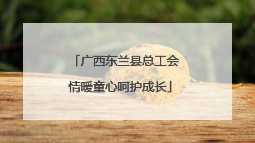 广西东兰县总工会情暖童心呵护成长