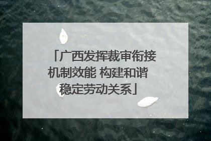 广西发挥裁审衔接机制效能 构建和谐稳定劳动关系