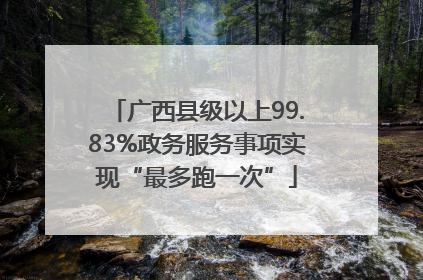 广西县级以上99.83%政务服务事项实现“最多跑一次”