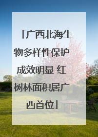 广西北海生物多样性保护成效明显 红树林面积居广西首位