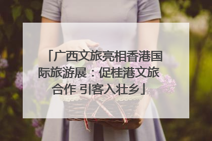 广西文旅亮相香港国际旅游展：促桂港文旅合作 引客入壮乡