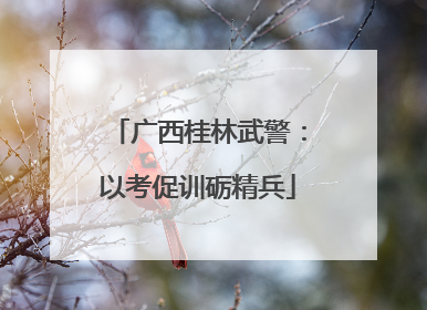 广西桂林武警：以考促训砺精兵