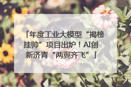 年度工业大模型“揭榜挂帅”项目出炉！AI创新济青“两翼齐飞”