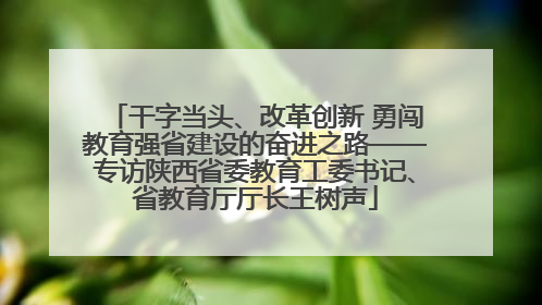 干字当头、改革创新 勇闯教育强省建设的奋进之路——专访陕西省委教育工委书记、省教育厅厅长王树声