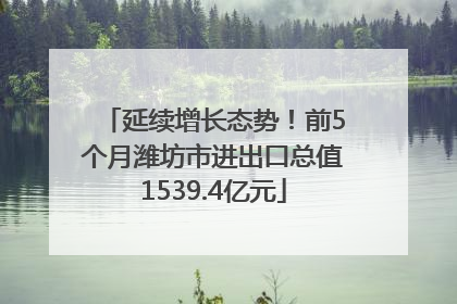延续增长态势！前5个月潍坊市进出口总值1539.4亿元