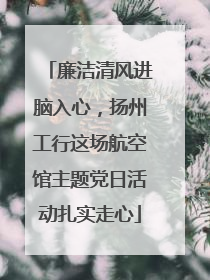 廉洁清风进脑入心，扬州工行这场航空馆主题党日活动扎实走心