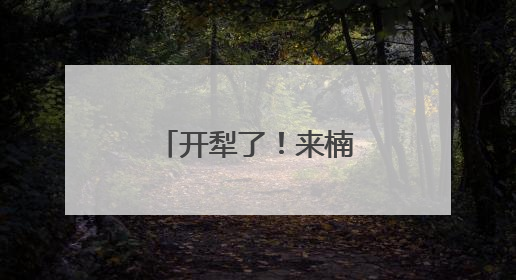 开犁了！来楠溪江共赴一场千年农耕之约