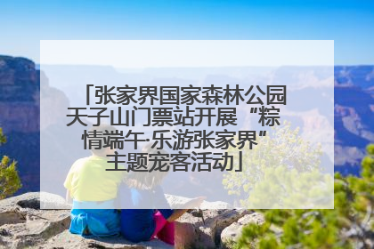 张家界国家森林公园天子山门票站开展“粽情端午·乐游张家界”主题宠客活动