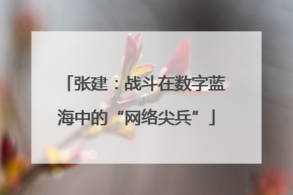 张建：战斗在数字蓝海中的“网络尖兵”