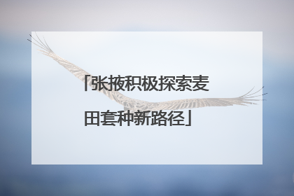 张掖积极探索麦田套种新路径