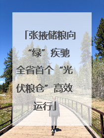 张掖储粮向“绿”疾驰 全省首个“光伏粮仓”高效运行
