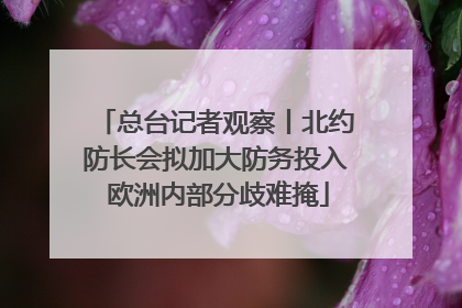 总台记者观察丨北约防长会拟加大防务投入 欧洲内部分歧难掩