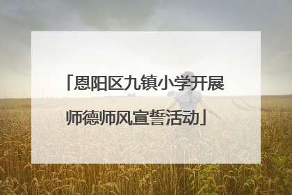 恩阳区九镇小学开展师德师风宣誓活动
