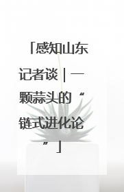 感知山东记者谈｜一颗蒜头的“链式进化论”