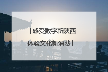 感受数字新陕西 体验文化新消费