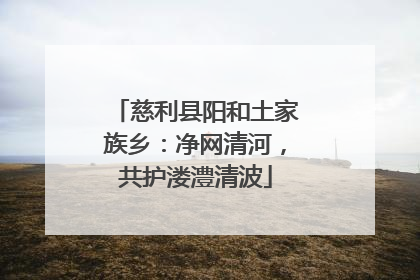 慈利县阳和土家族乡：净网清河，共护溇澧清波